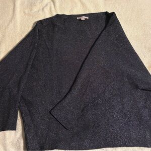 Philosophy Shimmering Black Sweater